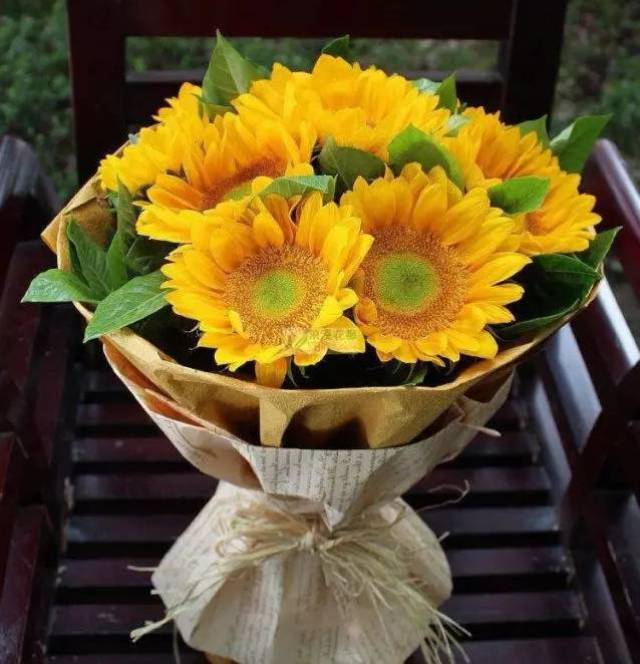 教师节送什么:这7种鲜花最适合献给老师!
