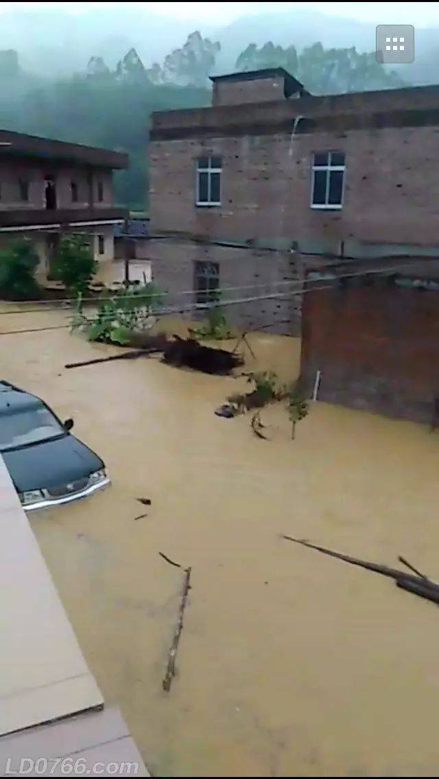 罗定市中南部普降暴雨到大暴雨,罗镜镇水浸严重!