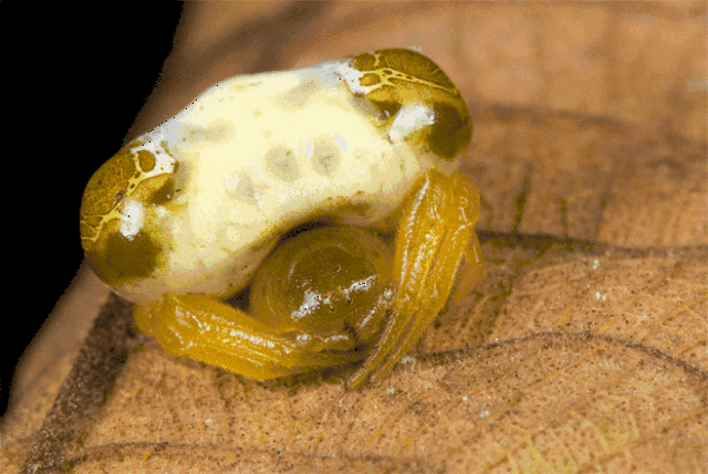 爆笑gif:好危险的工作,不知道还活着吗?-搞笑频道