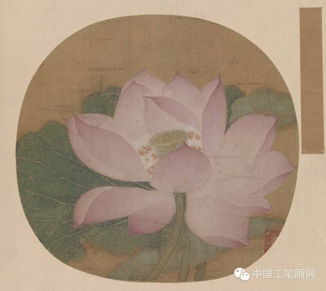 宋代花鸟画团扇小品精选(五十四幅)