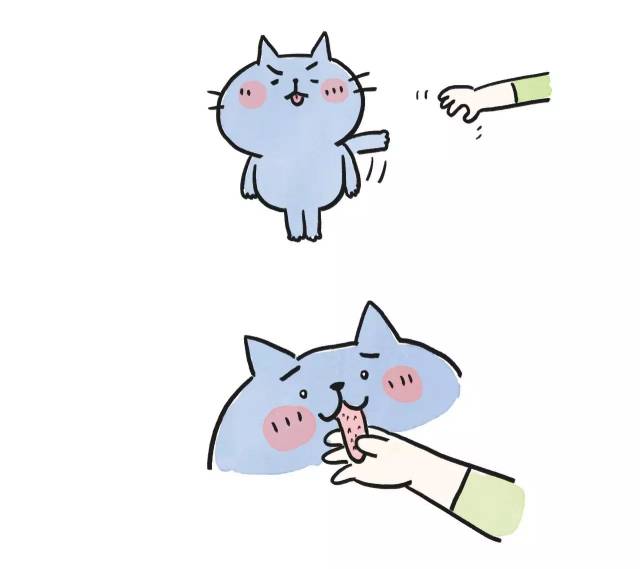 猫奴快戳这里!丨强档
