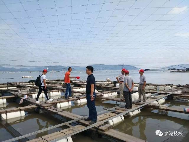 中水渔业公司养殖什么的 b0b2d7f2bccc46d6b45e16322818b0ba.jpeg