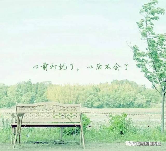 以前打扰了,以后不会了.
