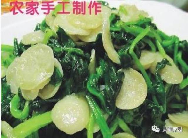 【灵璧美食】灵璧特产——绿豆饼_手机搜狐网