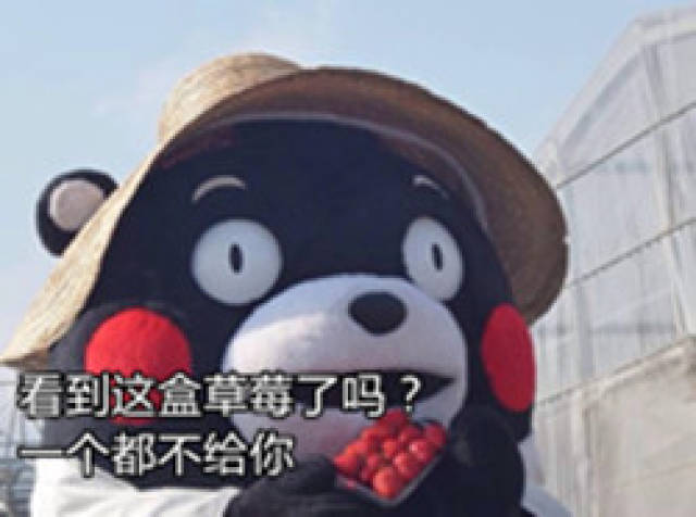 熊本熊表情包│朋友你看到这盒草莓了嘛