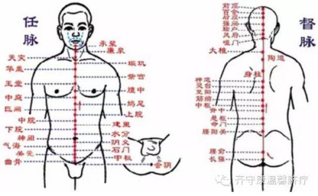 掌管全身的阳气,关乎心,肝,脾,肺,肾,小肠等,在督脉上都有反射区,所以