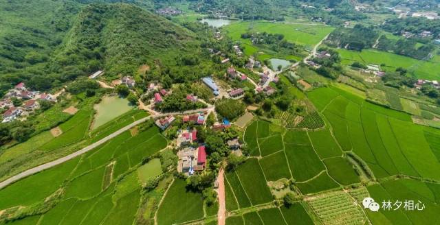 青阳家乡系列航拍,更新:杨梅桥村,新建村,新河东山水库