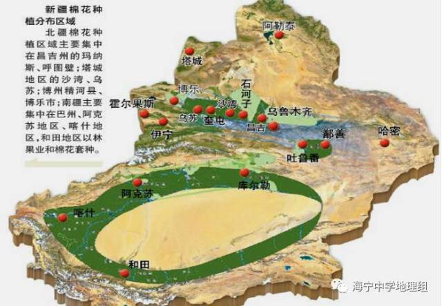 【行走天下】绵中极品——新疆长绒棉
