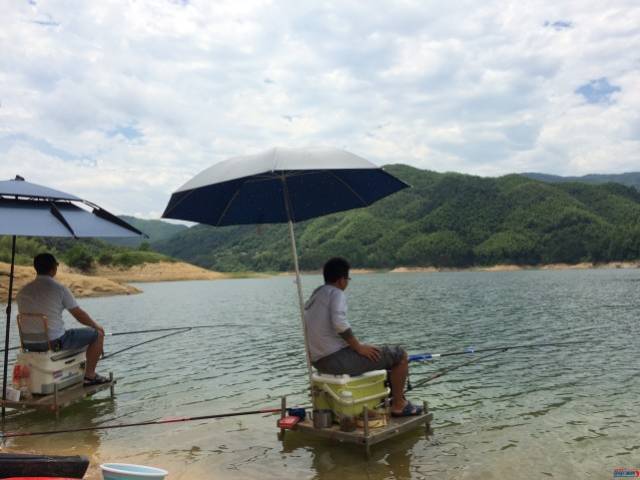 忙里抽空去钓鱼,佛子岭水库一天战绩超高