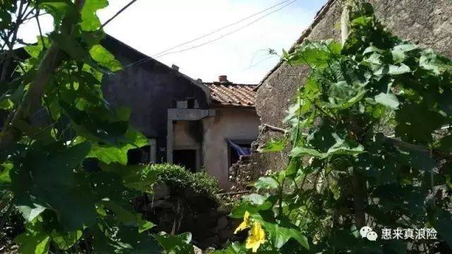 惠来小渔村:神泉镇芦园村东坑仔自然村