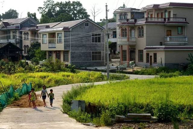 金色九月舒家村,风吹稻浪张公坡.
