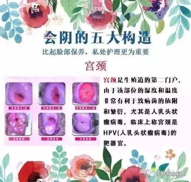 女性生殖系统的五大结构!