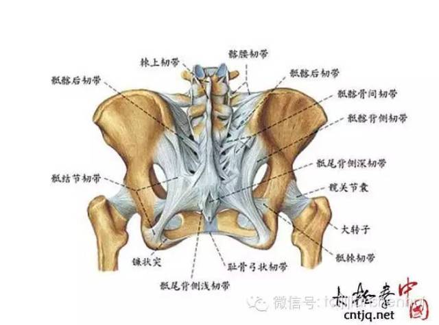 腰胯是否放松,是太极是否真正入门的标志之一.