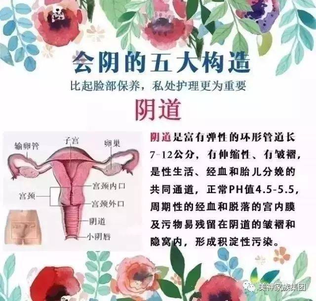 女性生殖系统的五大结构!