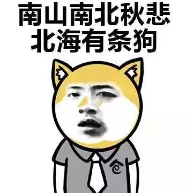 c8d8ef27032b412480b030be0c1ab80d.jpeg