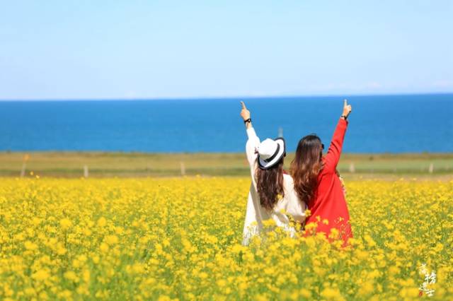 走进青海湖,邂逅美丽的油菜花海