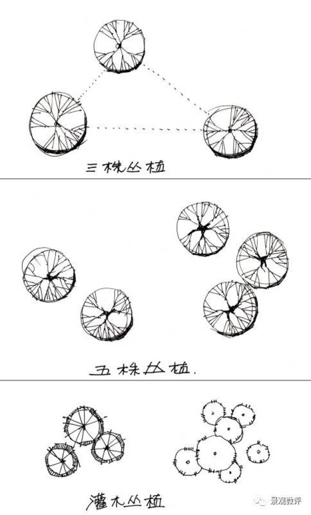 个人浅谈植物种植设计的一些原则