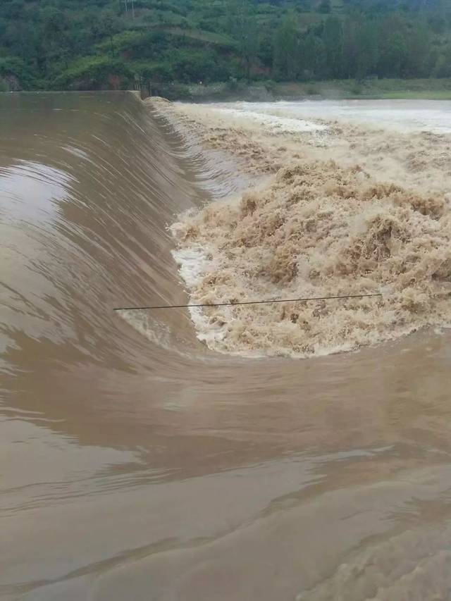 【关注】提醒!伊水滔滔,伊河涨大水了,提醒大家预防事故发生!