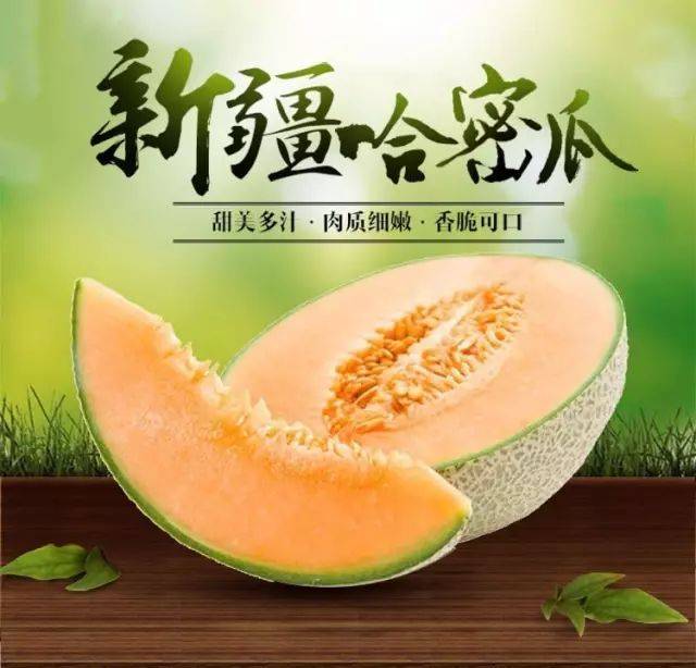 新疆西州蜜哈密瓜
