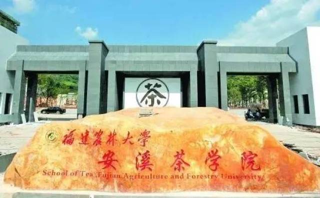 泉州学生人口_泉州丰泽区人口分布图