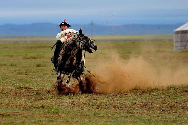 莽原万马奋扬鬃啸聚黄河气势宏