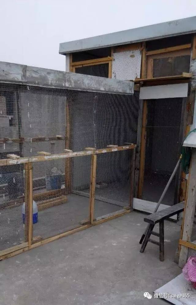 【鸽赏图】142元手工打造舒适小鸽棚.