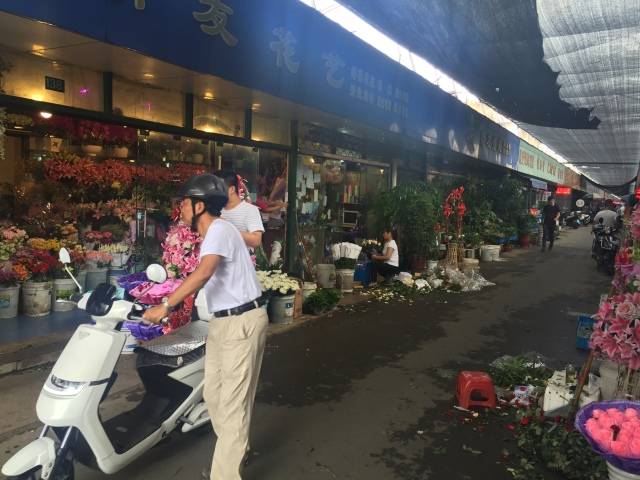 曹家渡市场要关了,还有全杨浦最大的花鸟市场等你来