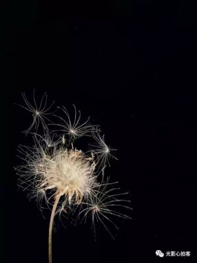 闪光的回忆 I 光影心拍客第991期(0911)