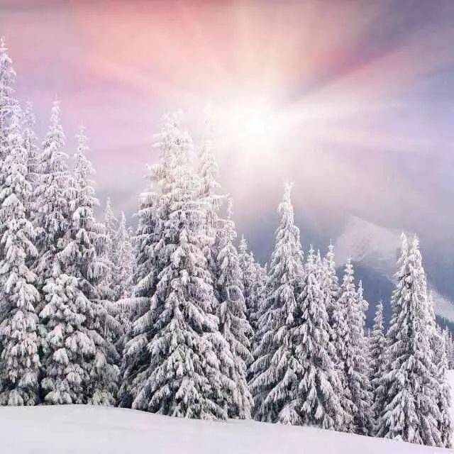 【招新篇·部门介绍】学术部来信,请查收!