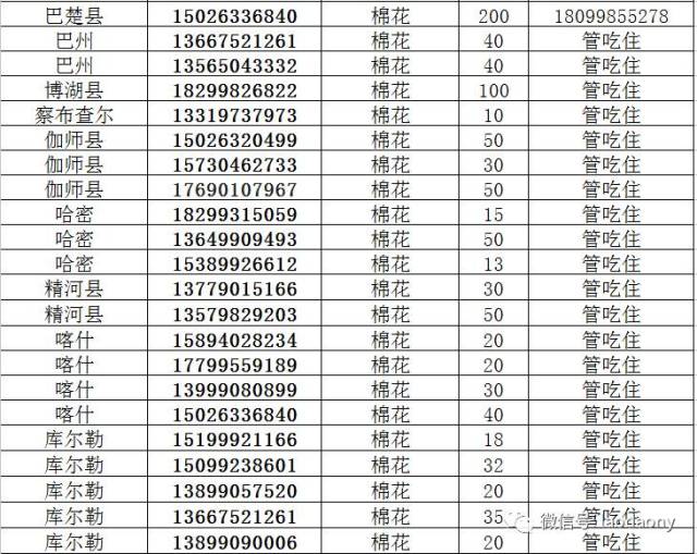 求助信范文