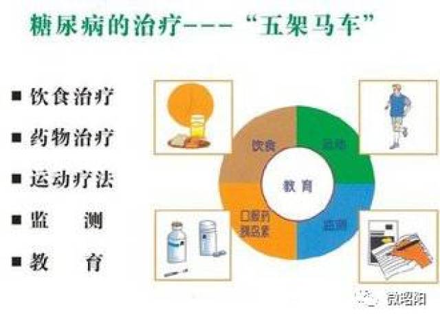 生活气象服务|治疗糖尿病,这"五驾马车"最关键(附明日