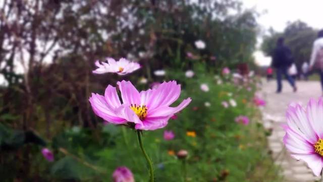 青草湾书屋开学第三周【阅读与写作课】预告