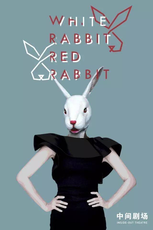 《白兔子,红兔子》| 一次诚意满满的戏耍