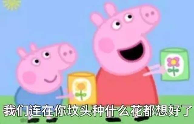 搞笑表情 | 小猪佩奇表情包