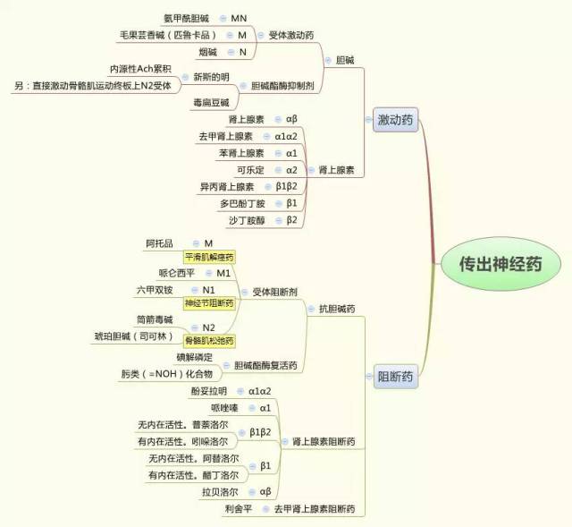 药理学思维导图-传出神经系统药物部分