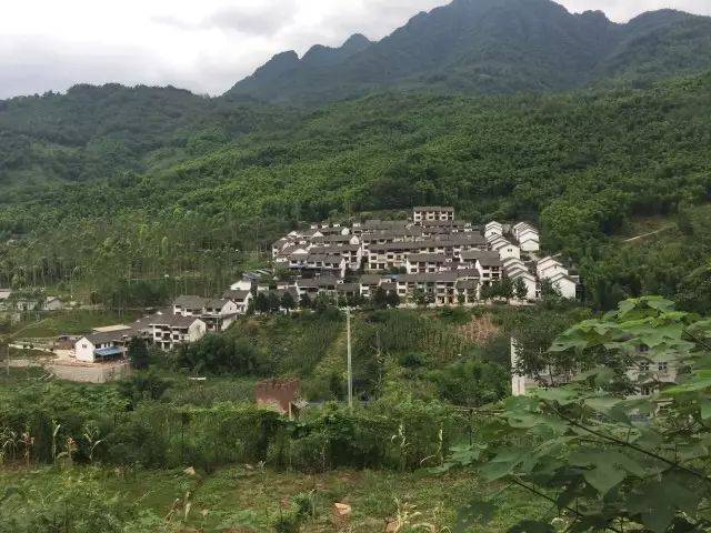 天啦噜!美丽的大邑雾山中,它们的生活简直比神仙还要惬意!