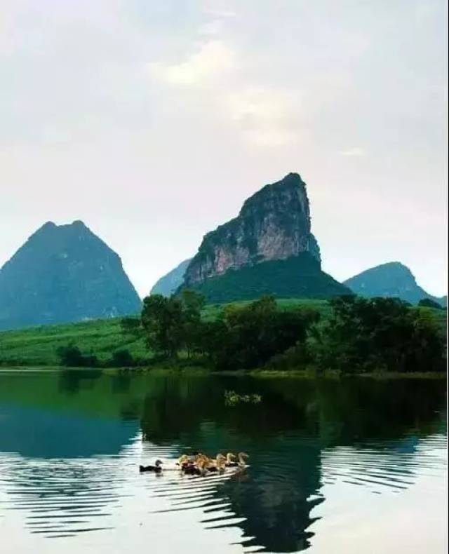 推荐景点:莲花山风景区,圣堂山风景区 来宾象州