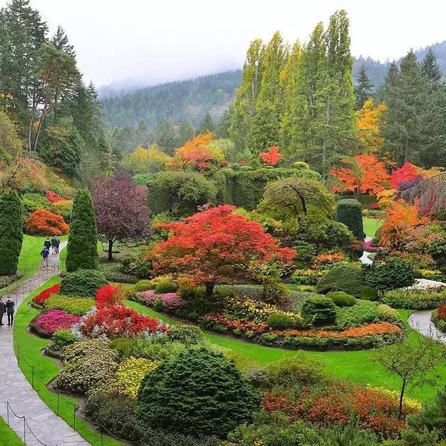 the butchart garden