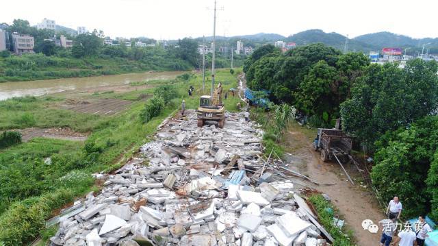 【信宜东镇街道:以畜禽养殖场清理整治为抓手,深入推进农村人居环境