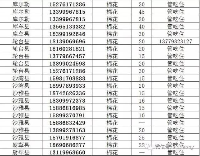 求助信范文