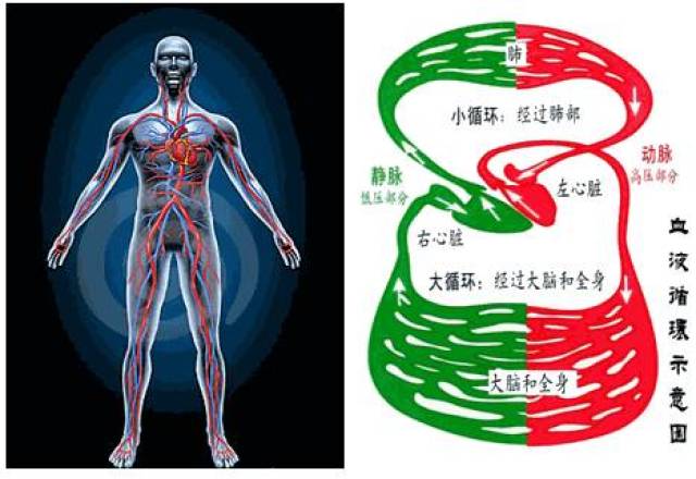 【微科普】血管变窄要人命!出现这些情况千万要当心!