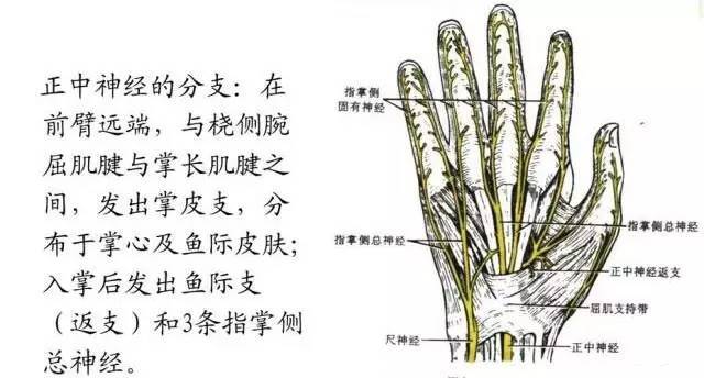 针刀治疗腕管综合征(图文详解)!