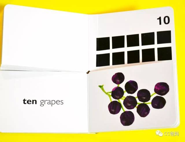 预告 | 脱销级绘本艾瑞卡尔《My Very First Boo