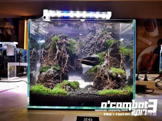 30cm水草缸震撼登场a'bat3 2017 tank 小缸造景欣赏参赛获奖作品