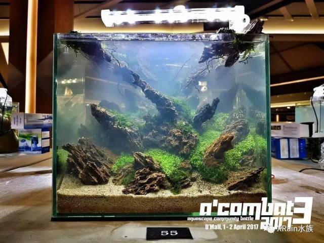 30cm水草缸震撼登场a"combat3 2017 tank 小缸造景欣赏参赛获奖作品