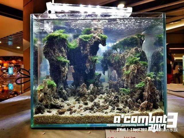 30cm水草缸震撼登场a'bat3 2017 tank 小缸造景欣赏参赛获奖作品