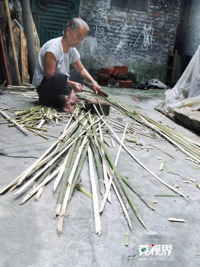 阿婆正在砍竹子,准备编织虾笼