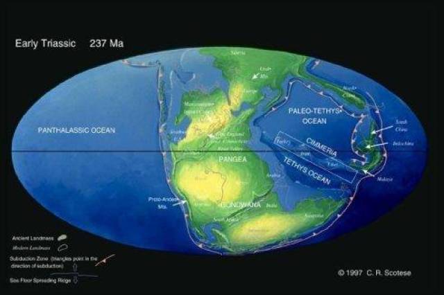 最后一次大灭绝,也就是第五次,发生在距今6300万年前的白垩纪