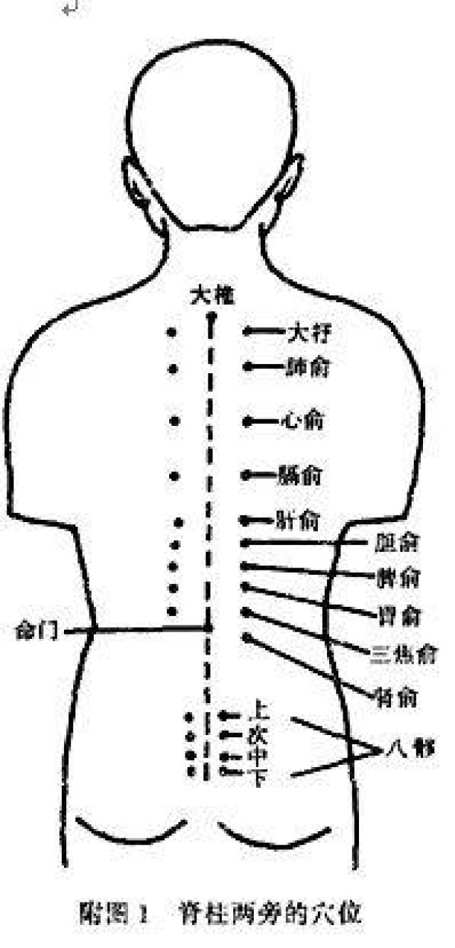 打通后背这三个部位,男人更强女人更美