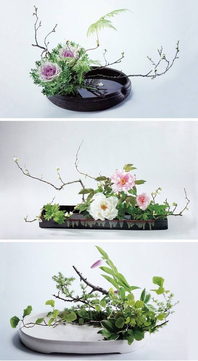 小原流的花(图片来自小原流插花杂志)